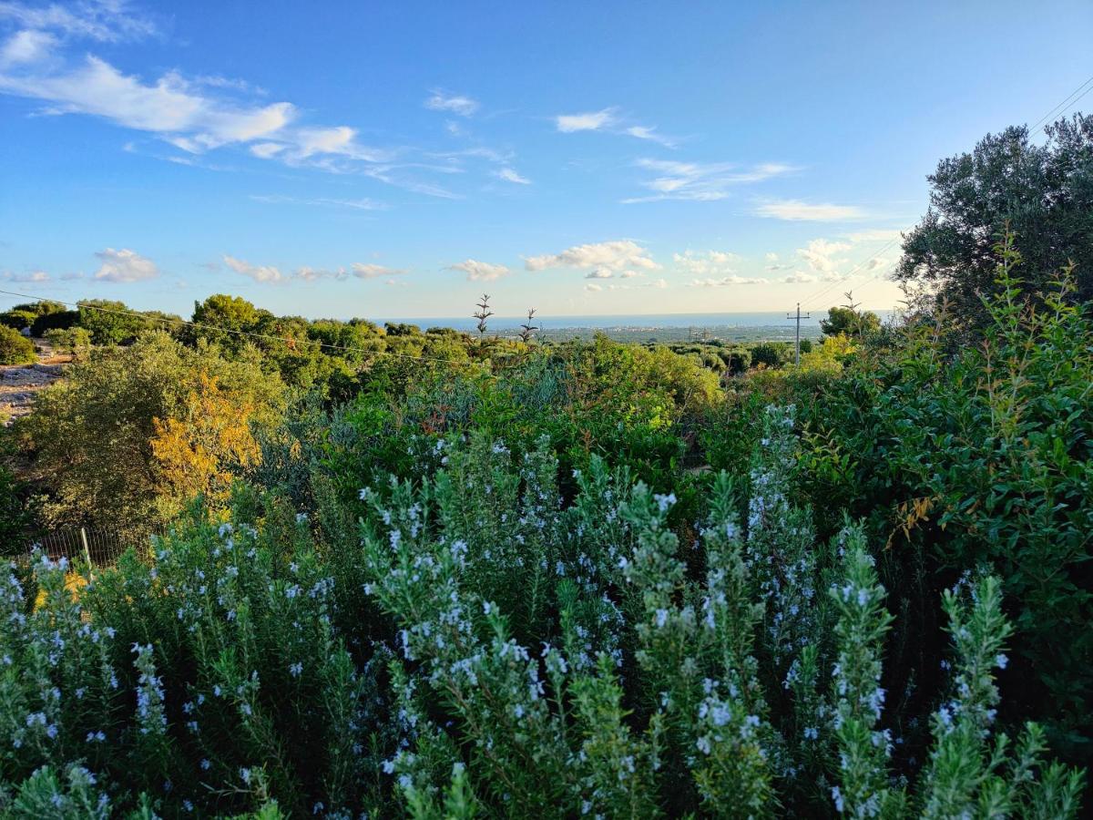 Villa Mest Pepp Monopoli Dış mekan fotoğraf